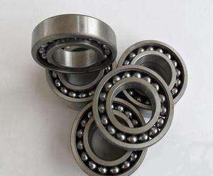 306-2RZ Bearing Suppliers