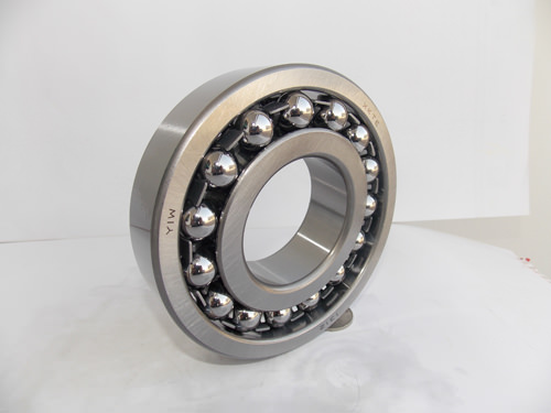 Newest 1309 Bearing